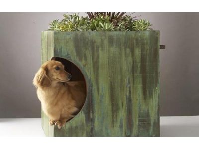 Незвичайні ліжка для домашніх тварин